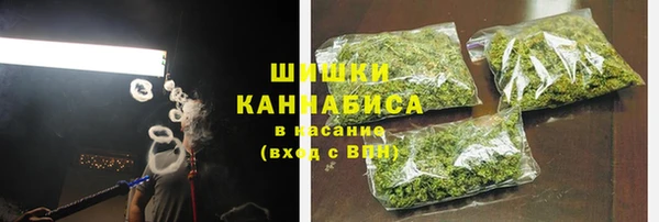 мдпв Володарск